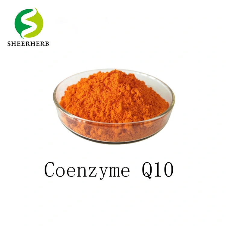 Food Gread Co Q10 Capsule Powder 100% Pure Natural Coenzyme Q10 Powder