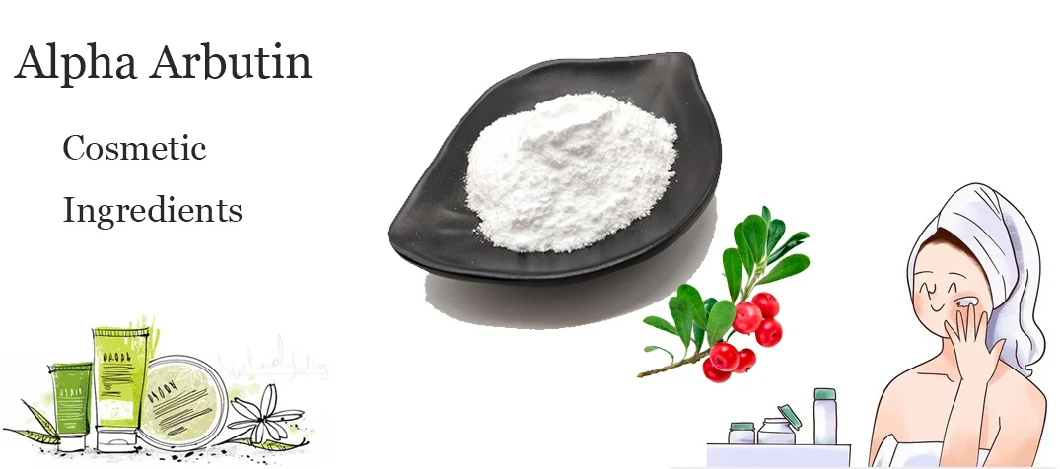 Cosmetic Raw Material Pure Organic Alpha Arbutin Powder CAS 84380-01-8 Natural Extract Bearberry Fruit Alpha Arbutin