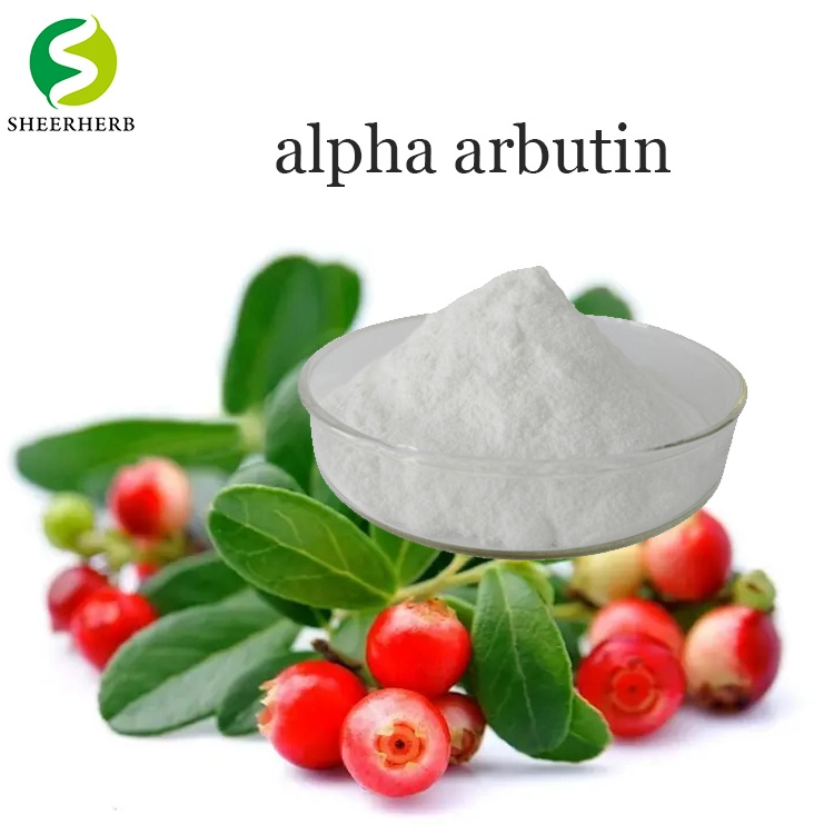 Cosmetic Raw Material Pure Organic Alpha Arbutin Powder CAS 84380-01-8 Natural Extract Bearberry Fruit Alpha Arbutin
