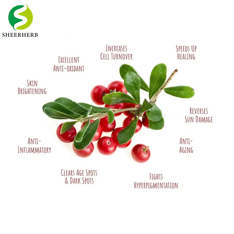 Cosmetic Raw Material Pure Organic Alpha Arbutin Powder CAS 84380-01-8 Natural Extract Bearberry Fruit Alpha Arbutin