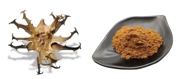 devil's-claw-extract-(8)