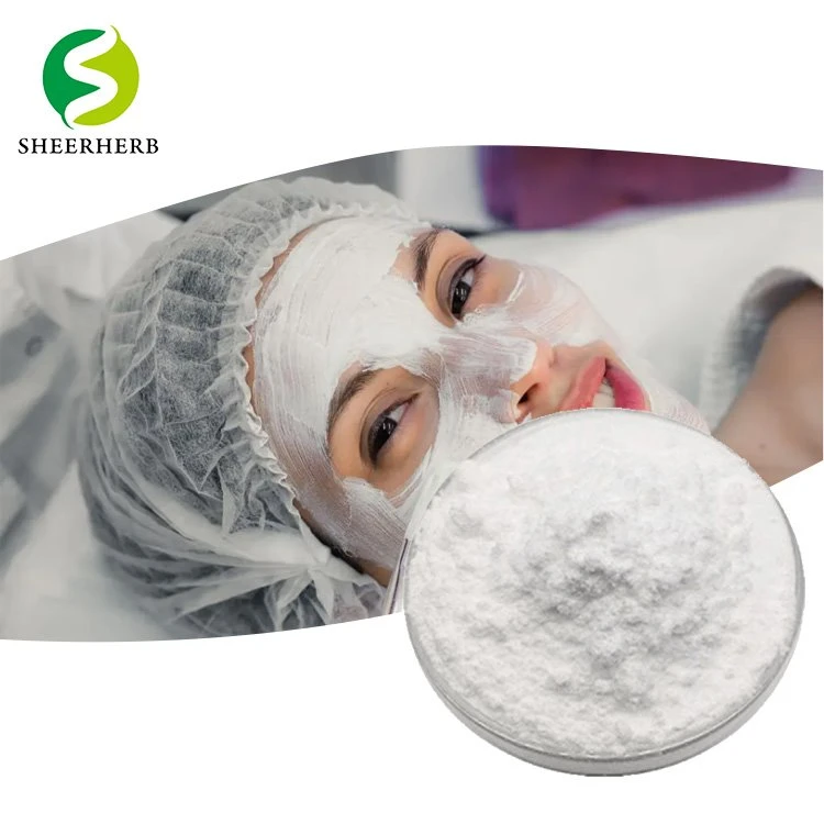 Factory Supply hight quality Cosmetic Grade Tranexamic Acid to Whiten Skin 98% Tranexamic Acid 3