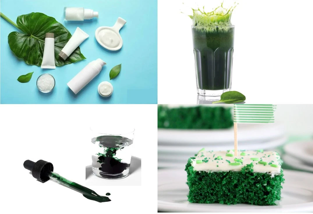 Chlorophyll 13