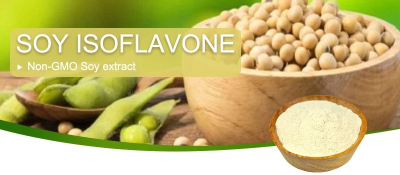 soy isoflavones-5