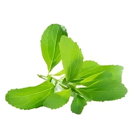Stevia
