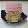 Fadogia Agrestis Extract Capsule