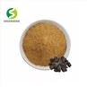 Fo-Ti Root Extract Powder