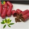 Olive Leaf Extract Powder