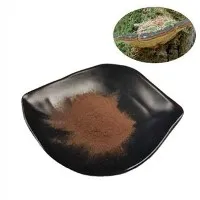 Phellinus Linteus ekstrakts