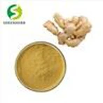 Ingvera ekstrakts Gingerol