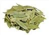 Senna Extract