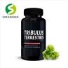 Tribulus Terrestris Extract