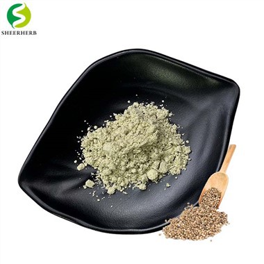 Hemp Seed Protein Powder